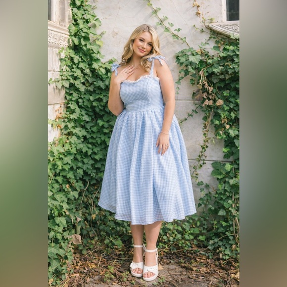 JessaKae Blue Gingham & Lace Priscilla Organza Midi Dress, 1x, NWT! - Picture 3 of 16